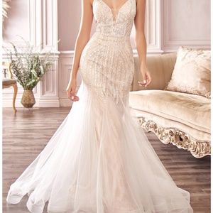 Cinderella Divine Prom/Wedding dress